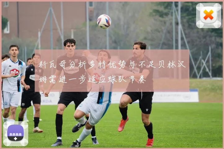 科瓦奇分析多特优势与不足贝林汉姆需进一步适应球队节奏